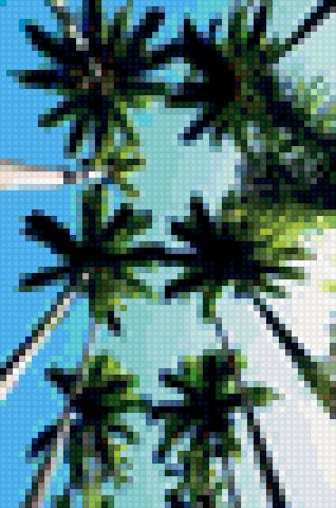 Багамы - небо, пальмы - предпросмотр