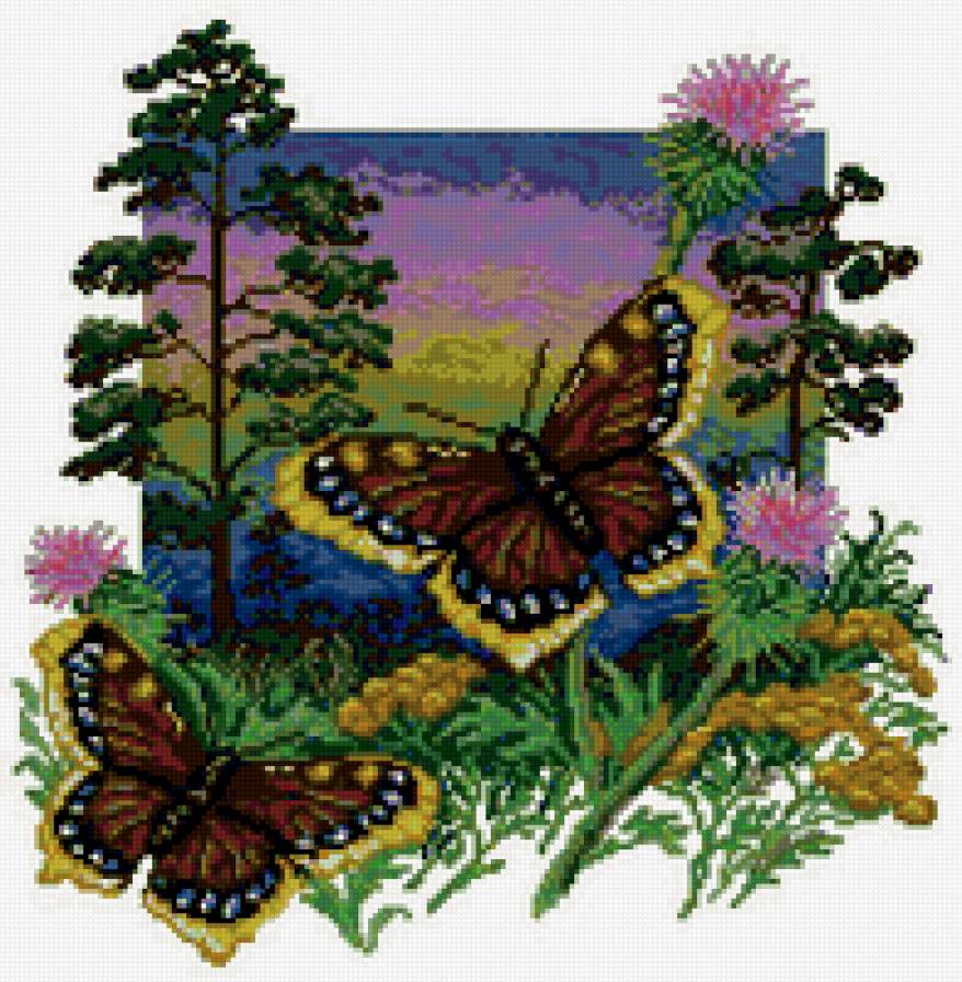 Бабочки - бабочки, природа - предпросмотр