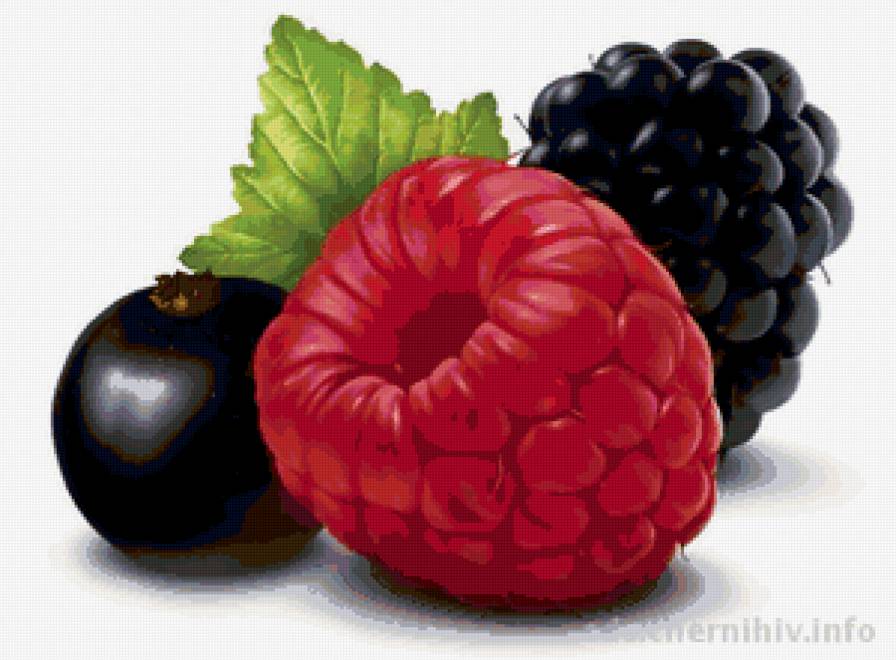 ЯГОДЫ - фрукты - предпросмотр