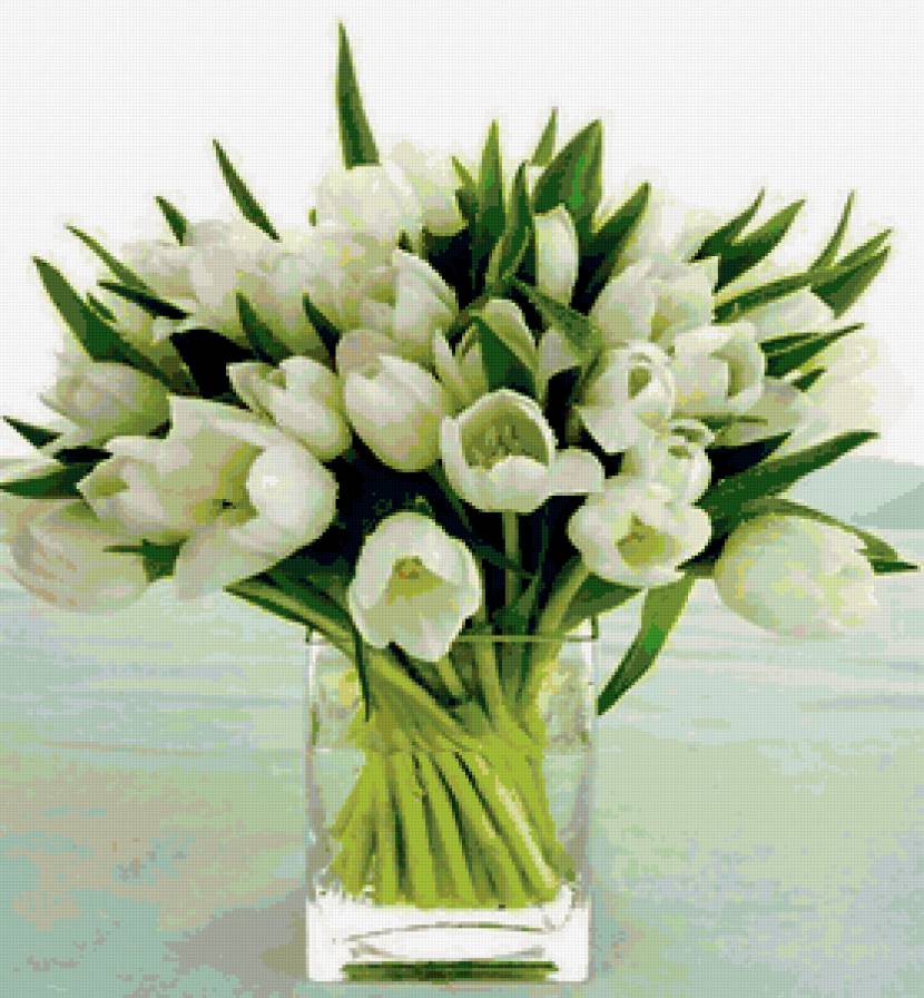 ПОДСНЕЖНИКИ - цветы - предпросмотр