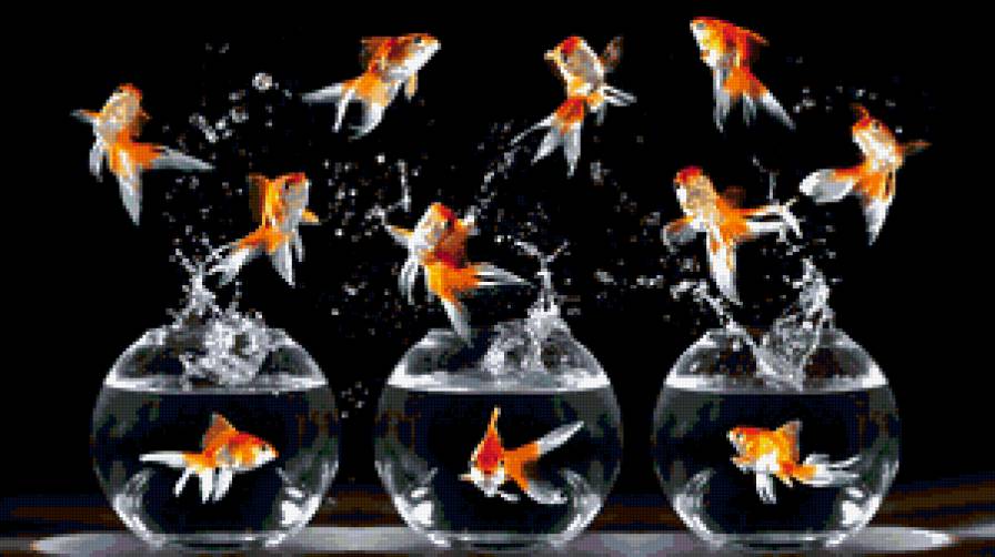 рыбки - животные, рыбы, аквариум, рыбки - предпросмотр