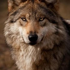 Схема вышивки «№323580»