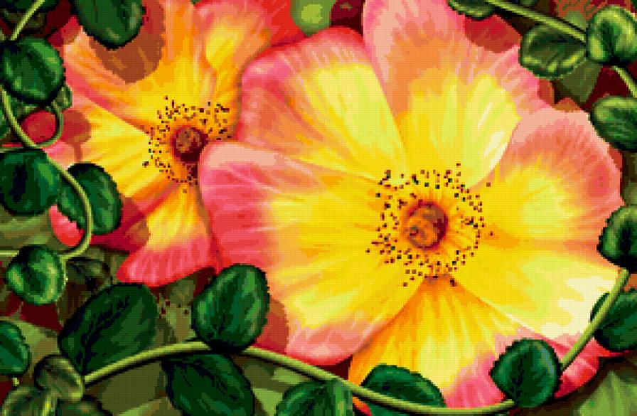 шиповник - шиповник, цветы - предпросмотр