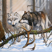 Схема вышивки «№323682»