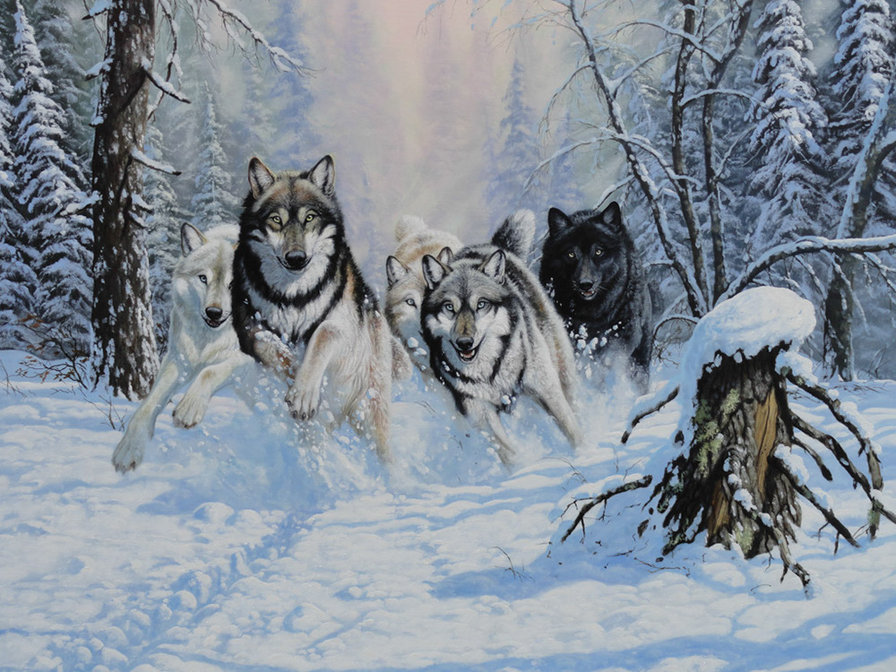 №323686 - семья, волки - оригинал