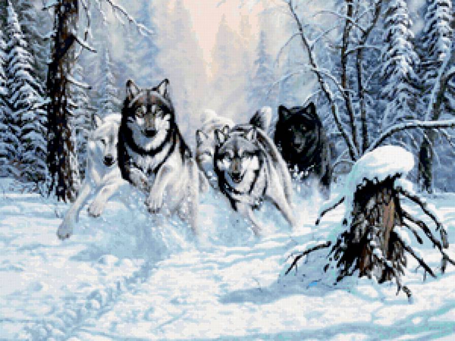 №323686 - волки, семья - предпросмотр