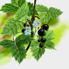 Схема вышивки «№323692»