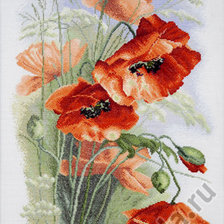 Схема вышивки «c8»