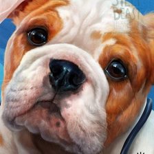 Схема вышивки «c9»