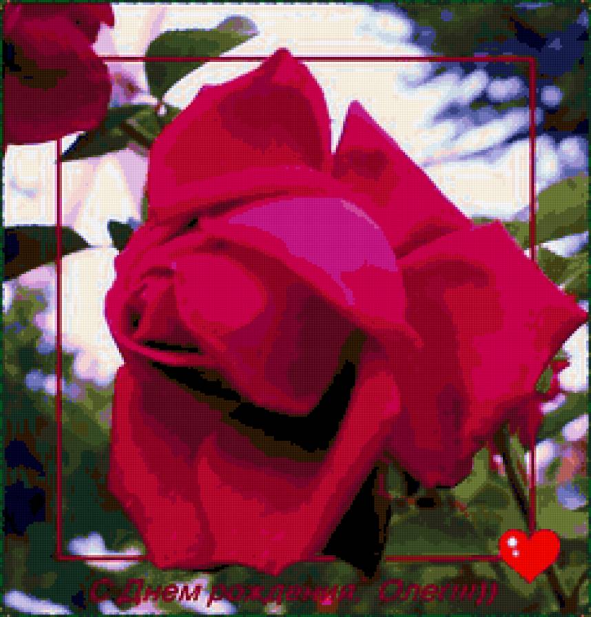 роза - цветы, розы, цветок, роза - предпросмотр