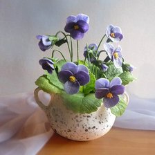 анютины глазки