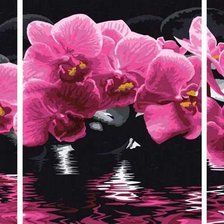Схема вышивки «Орхидеи»