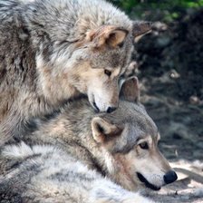 Схема вышивки «№323906»