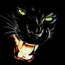 Схема вышивки «пантера»