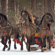 Схема вышивки «зима»