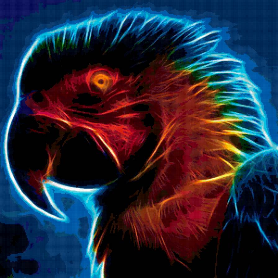 Попугай - попугай - предпросмотр