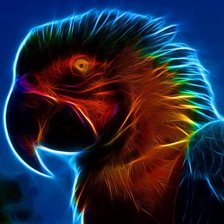 Схема вышивки «Попугай»