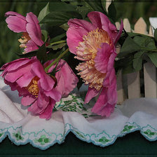 Схема вышивки «пионы»