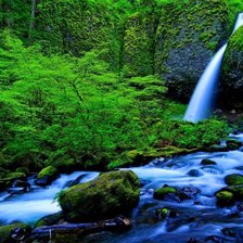 Схема вышивки «природа»