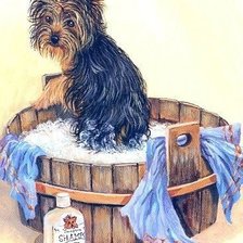 Схема вышивки «№324137»