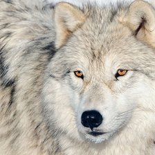 Схема вышивки «№324162»