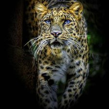 Схема вышивки «№324189»