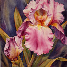 Схема вышивки «000300»