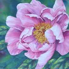 Схема вышивки «000200»