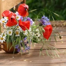 Схема вышивки «Ромашки»