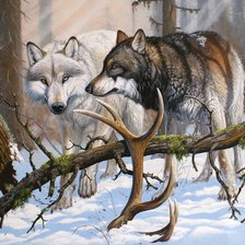 Схема вышивки «волки»