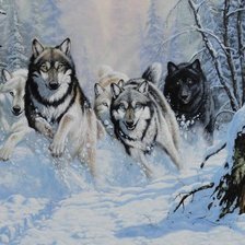 Схема вышивки «волки»