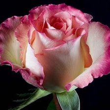 Схема вышивки «№324585»