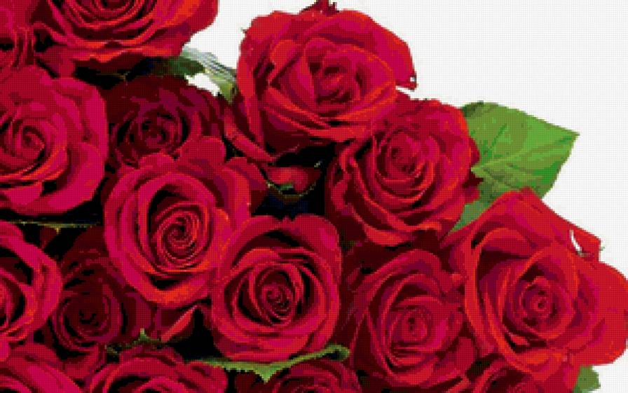 №324593 - предпросмотр