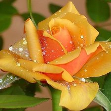 Схема вышивки «№324601»