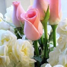 Схема вышивки «№324607»