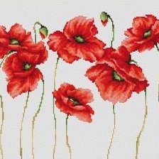 Схема вышивки «маки»