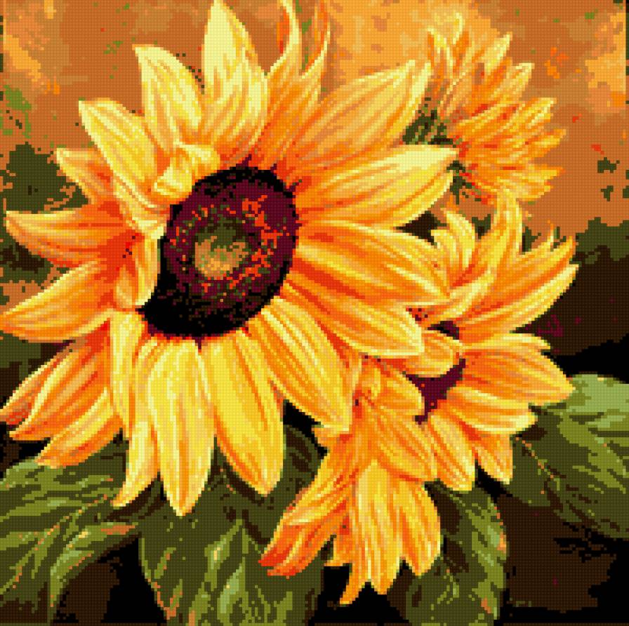 цветы - подсолнухи - предпросмотр