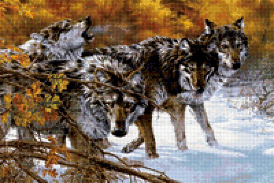 Стая - предпросмотр