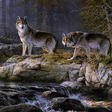 Волки у реки