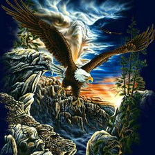 Схема вышивки «гордая птица»