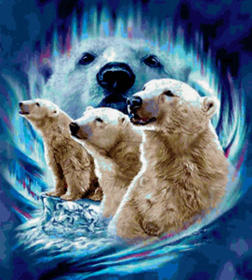 белые медведи - животные - предпросмотр