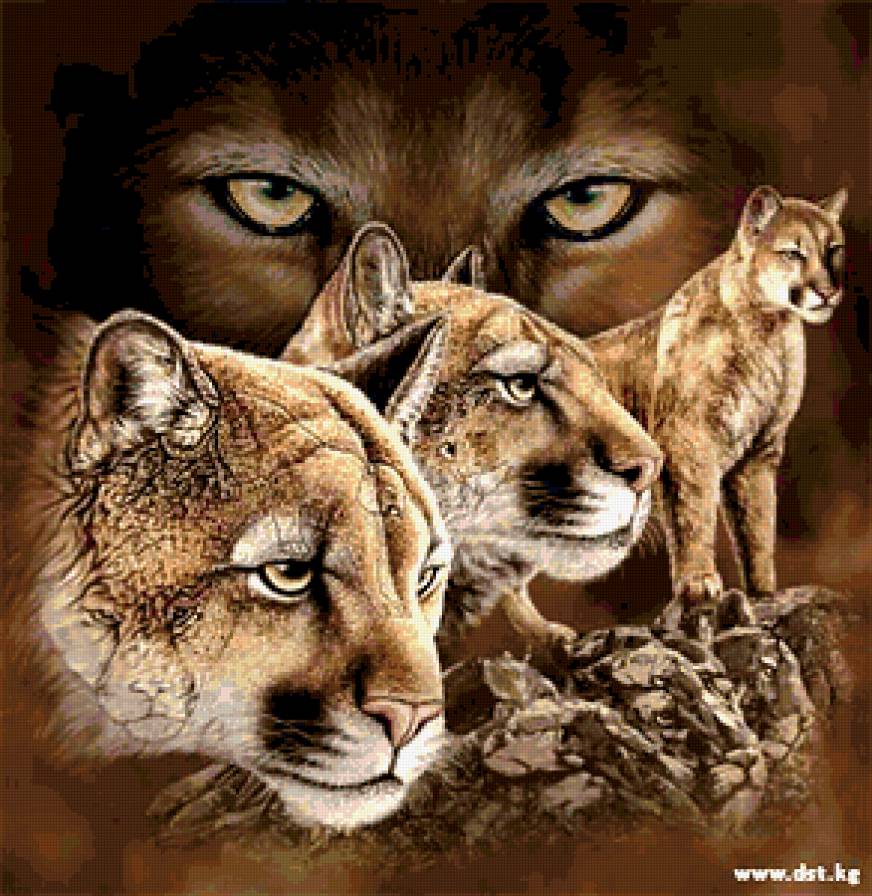 львицы - животные - предпросмотр