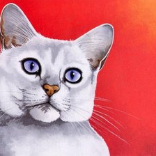 Схема вышивки «кот»