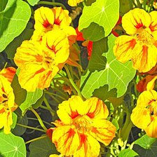 Схема вышивки «№324928»