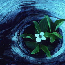 Схема вышивки «№325076»