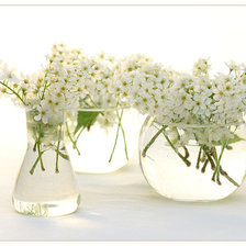 Схема вышивки «цветы»