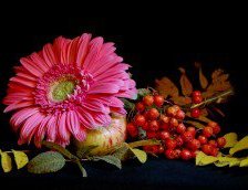 Схема вышивки «натюрморт»