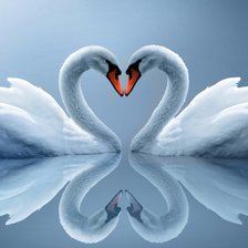 Схема вышивки «№325242»