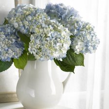 Схема вышивки «натюрморт»