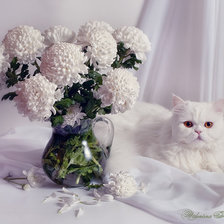 Схема вышивки «белое»